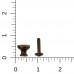 Part 1297 - Antique Brass Knob (with Screw)